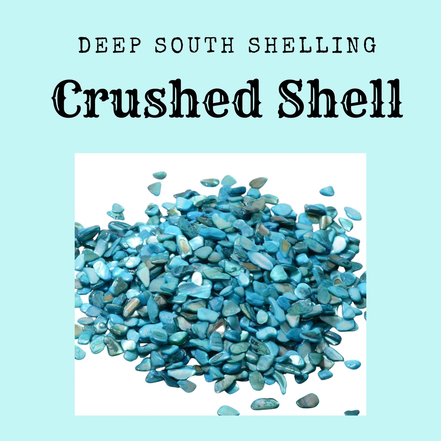 Deep South Shelling