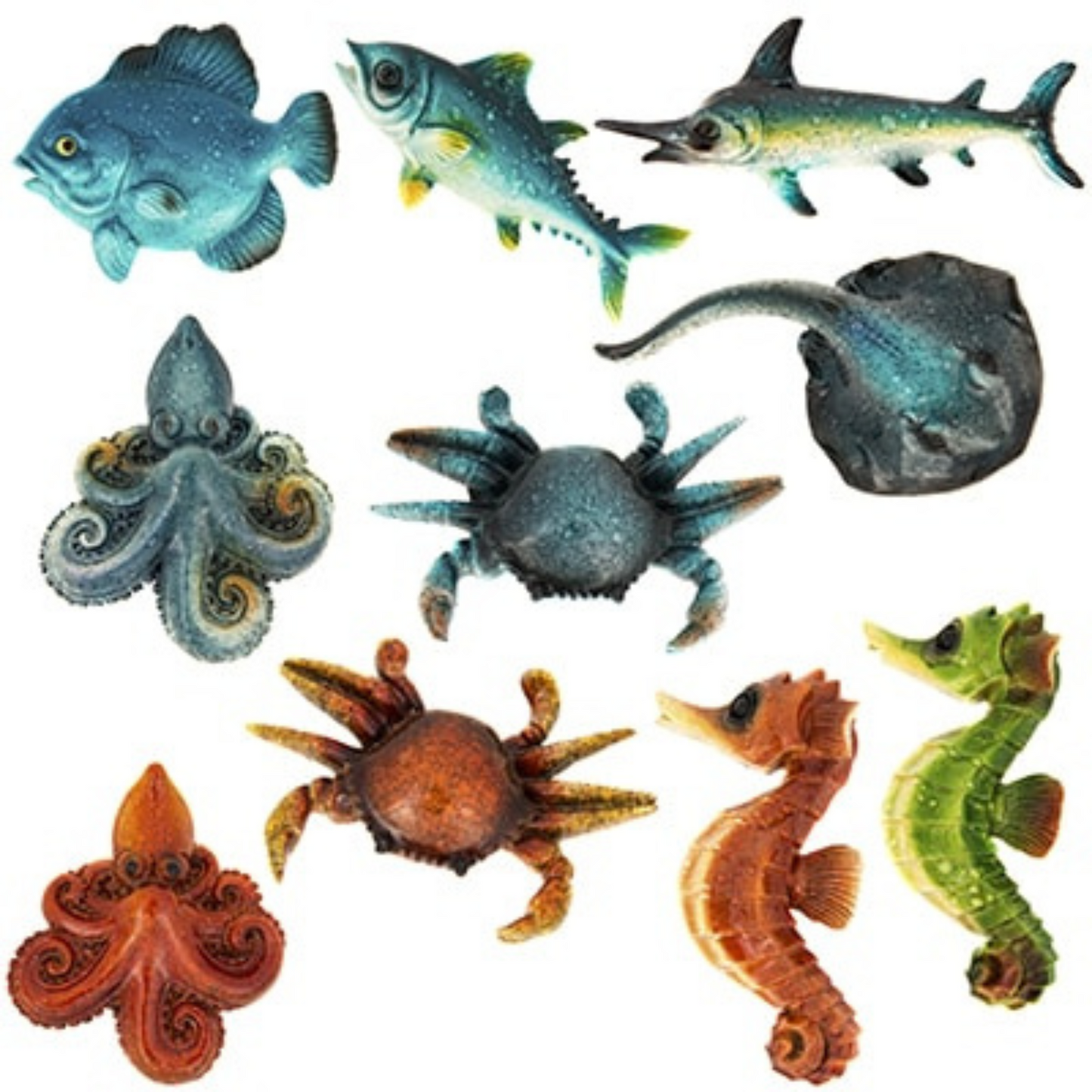 Coastal Sealife Magnets