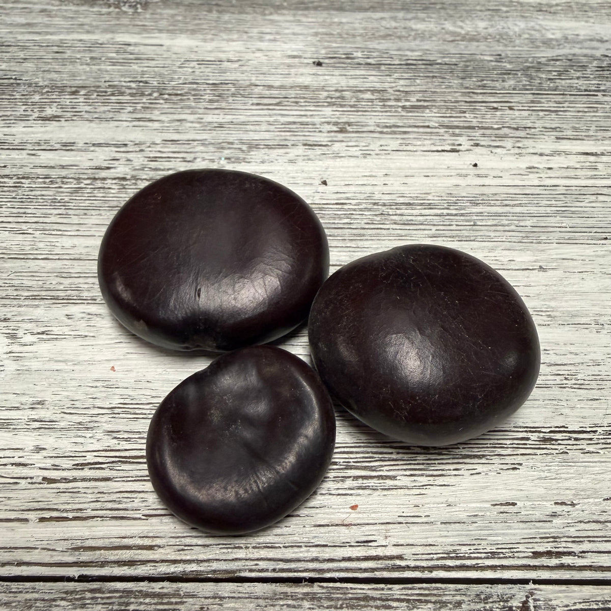 Sea Shell Lucky Lucky Sea Bean Shell Q3 – Deep South Shelling