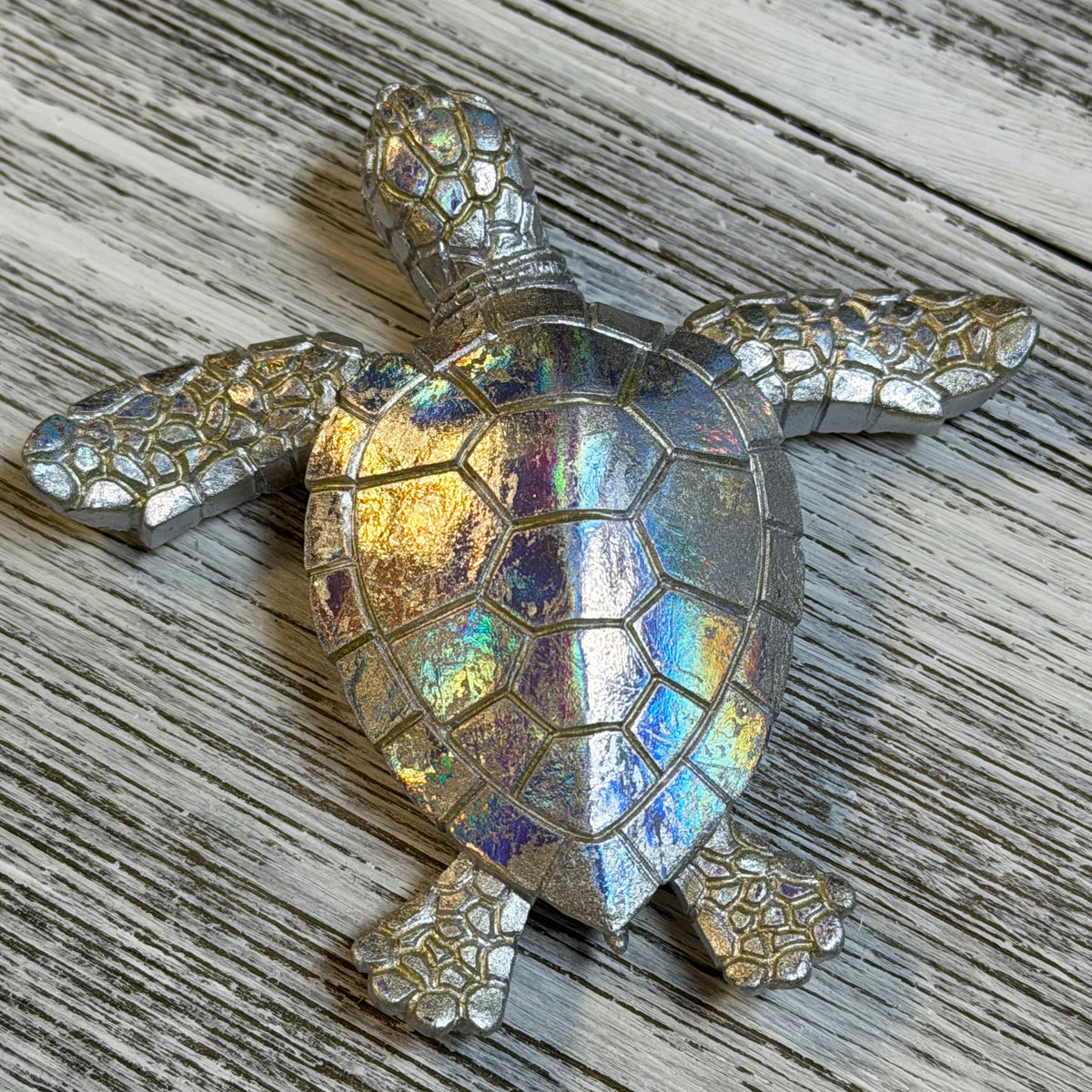 Creamy Silver Turtle Magnet – Deep South Shelling