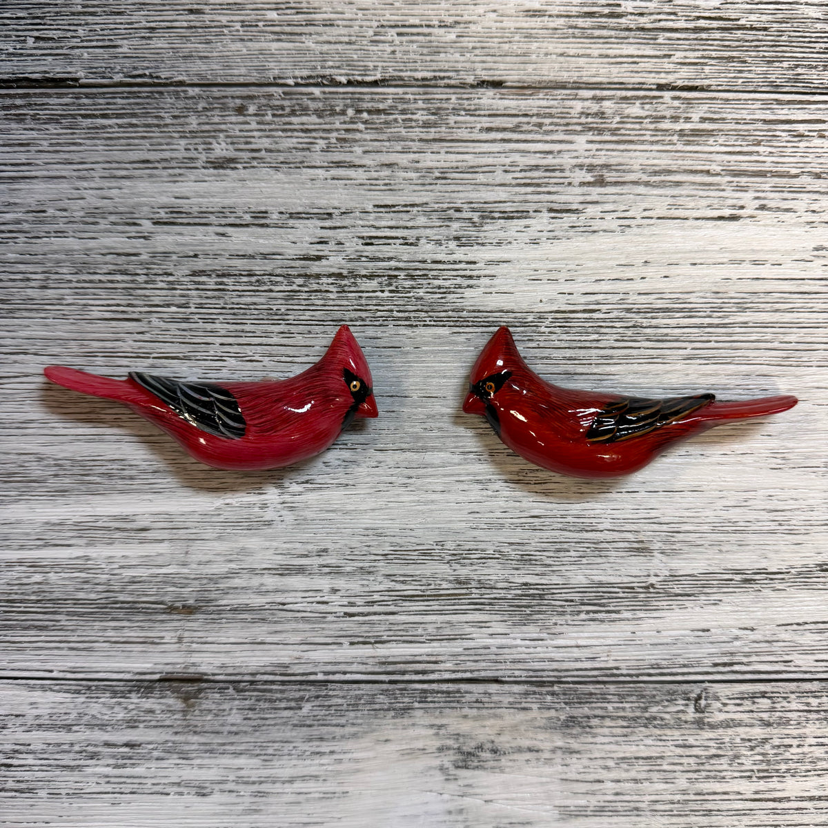 Deep Cardinal Acrylic Cardinal Magnet Q1 – Deep South Shelling
