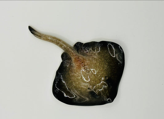 Stingray Figurine for Resin Craft 4"