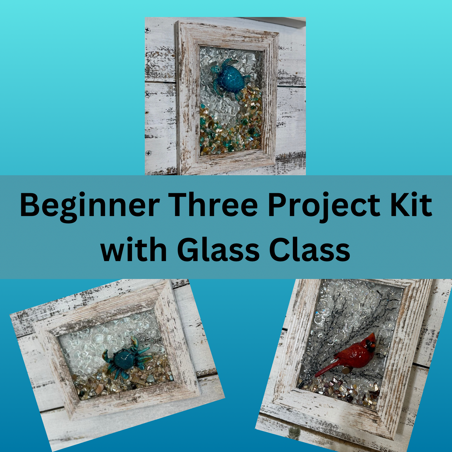 Beginner Three Project Kit, with class