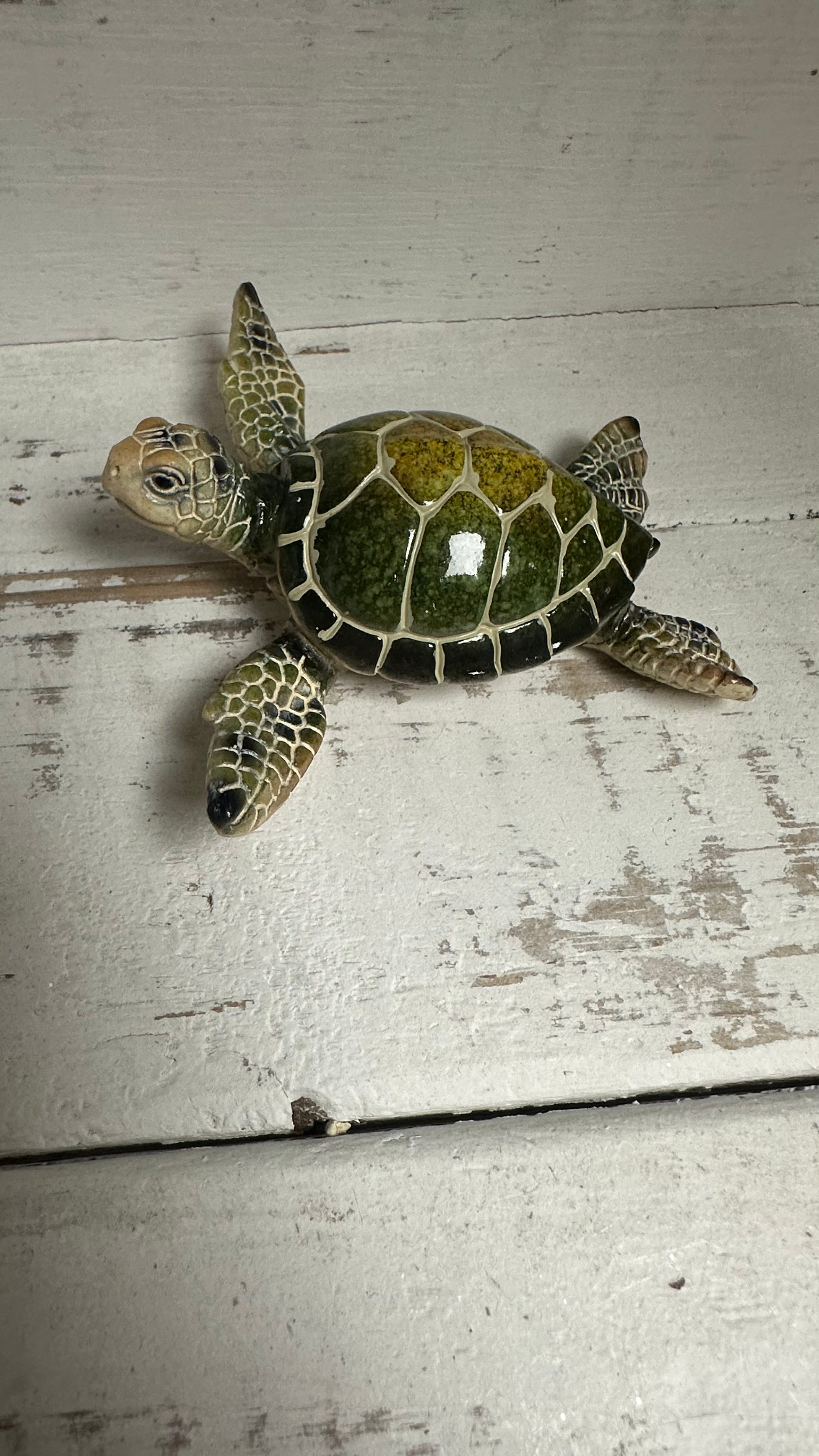 Lg Green Sea Turtle Figurine – Deep South Shelling