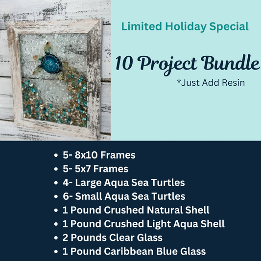 Holiday Special: Ten Project Bundle