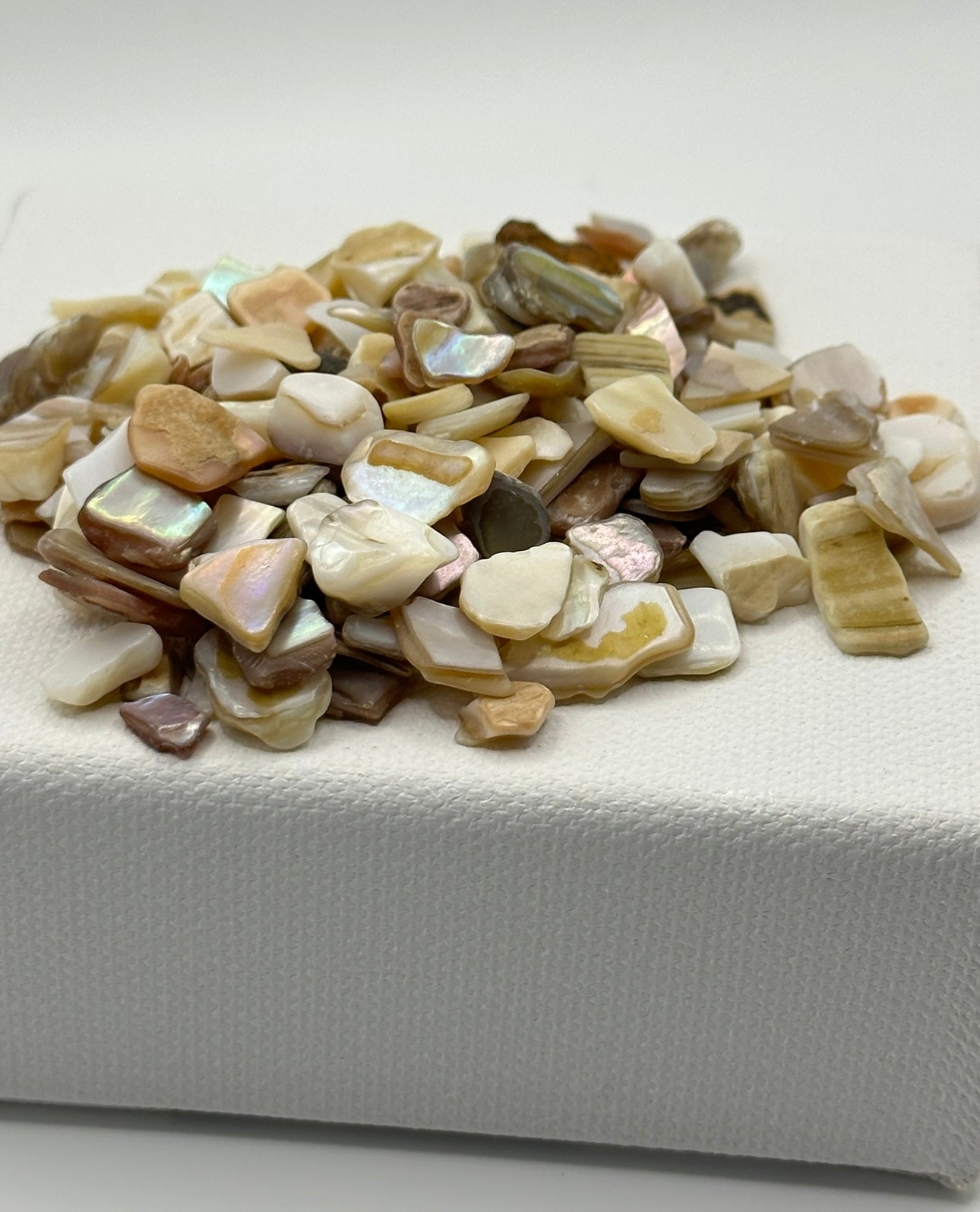 Crushed Natural Shell Mix, Natural