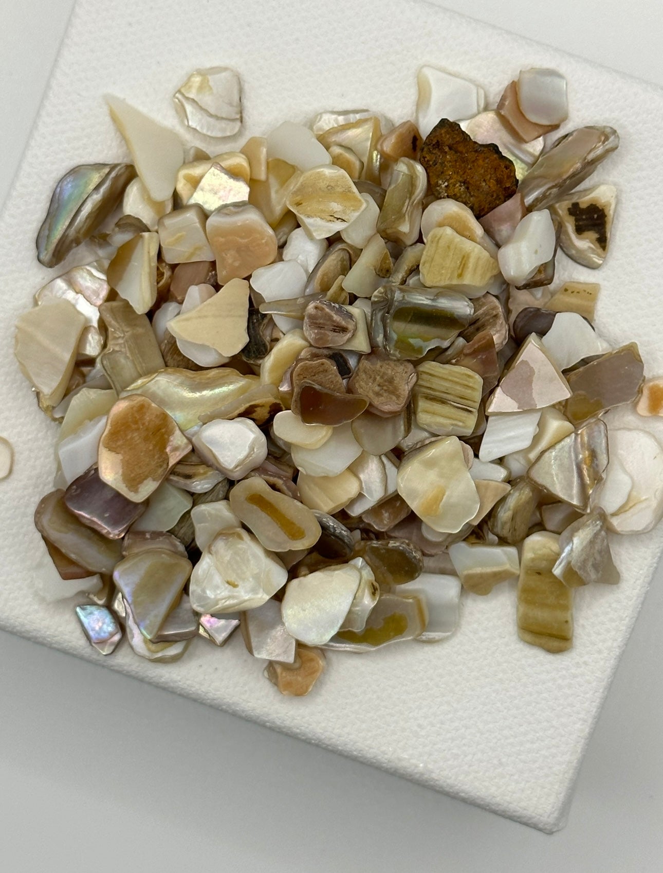 Crushed Natural Shell Mix, Natural