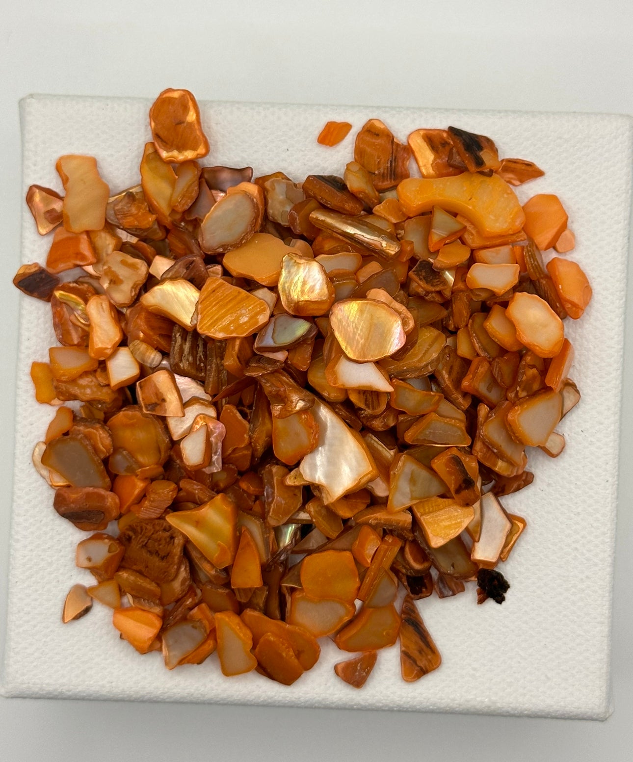 Orange Crushed Natural Shell Mix