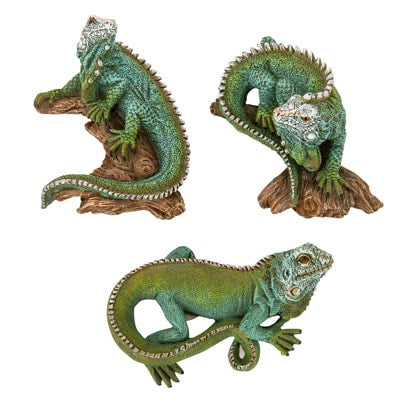 Small Iguana Magnet Trio