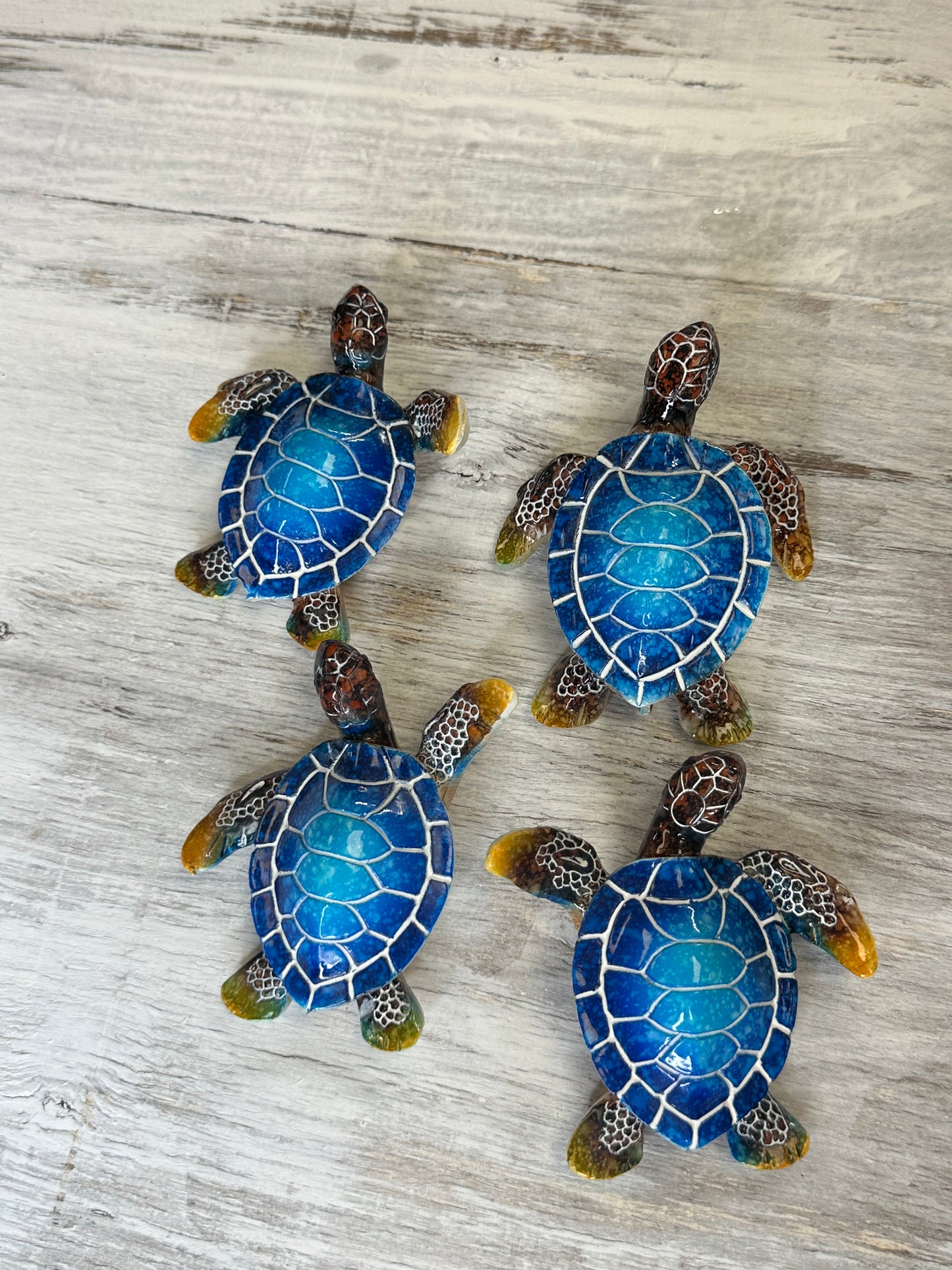 Bright Blue Sea Turtle